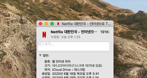 맥 독 (Dock)에 사이트 바로가기 추가하기 (예:넷플릭스)