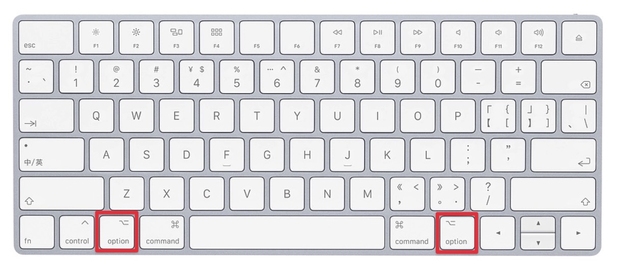 맥 (Mac)에서 ⌥ option 키로 입력 언어 전환하는 법